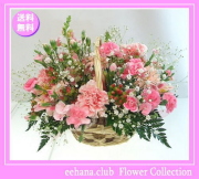 5月の誕生花★プリティーアレンジ5,000円【送料無料】花言葉付き【写真付きメッセージ選択可】ネット特価！