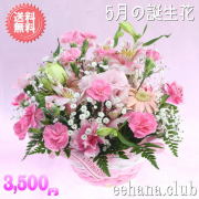 5月の誕生花★ピンクアレンジ3,500円【送料無料】花言葉付き【写真付きメッセージ選択可】ネット特価！