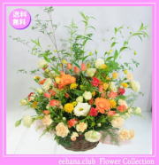 7月の誕生花★スマイルアレンジ7,500円【送料無料】花言葉付き【トルコキキョウ】【写真付きメッセージ選択可】