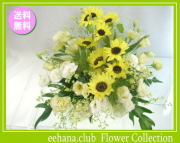 8月の誕生花★ひまわりハーモニーアレンジ7,000円【送料無料】花言葉カード付き