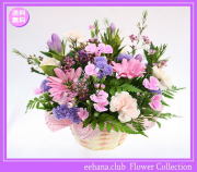 9月の誕生花★ピンクアレンジ3,500円【送料無料】【りんどう】【写真付きメッセージ選択可】ネット特価！！