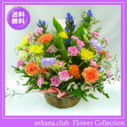 9月の誕生花★ハッピーアレンジ5,000円【送料無料】【りんどう】【写真付きメッセージ選択可】ネット特価！！