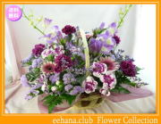 10月の誕生花★パープルアレンジ6,000円【送料無料】花言葉付き【ガーベラ】【写真付きメッセージ選択可】ネット特価！！