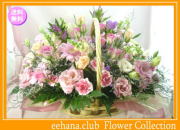 10月の誕生花★ファンシーアレンジ10,000円【送料無料】花言葉付き【ガーベラ】【写真付きメッセージ選択可】ネット特価！！