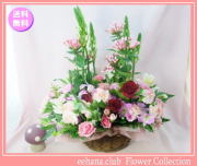 11月の誕生花★ロマンスアレンジ5,000円【送料無料】花言葉付き【ブバリア】【写真付きメッセージ選択可】