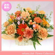 11月の誕生花★宝石箱アレンジ4,000円【送料無料】花言葉付き【ブバリア】【写真付きメッセージ選択可】