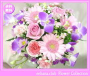 12月の誕生花★ピンクアレンジ3,500円【送料無料】【デンファレ】【写真付きメッセージ選択可】ネット特価！