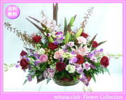 12月の誕生花★ファンシーアレンジ10,000円【送料無料】【デンファレ】【写真付きメッセージ選択可】ネット特価！