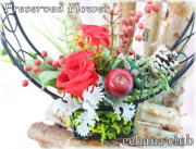 プリザーブドフラワー★バードハウスレッド4,000円【送料無料】