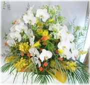 開店やお祝いに贈る花★シャトレールアレンジ30,000円【送料無料】ネット特価！