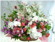 開店やお祝いに贈る花★ハイヤットアレンジ30,000円【送料無料】ネット特価！