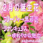 2月の誕生花　5,000円-デザイナーにおまかせ！