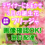 3月の誕生花★デザイナーにおまかせ3,500円【送料無料】【フリージア】【フラワーアレンジ・花束】ネット特価！！