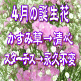 4月の誕生花　3,000円-デザイナーにおまかせ！