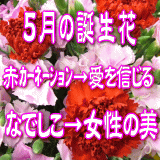 5月の誕生花　3,000円-デザイナーにおまかせ！