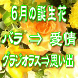 6月の誕生花　3,000円-デザイナーにおまかせ！