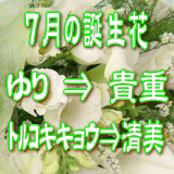 7月の誕生花　3,000円-デザイナーにおまかせ！