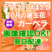 10月の誕生花★デザイナーにおまかせ3,500円【送料無料】【ガーベラ】【フラワーアレンジ・花束】ネット特価！