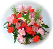 プリティー3,000円-【フラワーアレンジ】ネット特価！