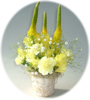 イエローランド2,500円-【フラワーアレンジ】ネット特価！