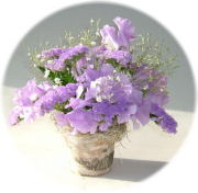 パープルランド2,500円-【フラワーアレンジ】ネット特価！
