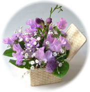 パープル宝石箱3,000円-【フラワーアレンジ】ネット特価！