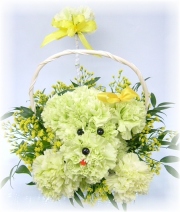 プードルアレンジ4,000円-【フラワーアレンジ】ネット特価！