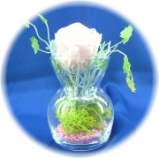 プリザーブドフラワー　クリスタルライトピンク1,200円　　-ネット特価！