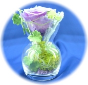 プリザーブドフラワー　クリスタルパープル1,200円　　　　-ネット特価！