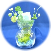 プリザーブドフラワー　クリスタルスカイブルー1,200円　　-ネット特価！