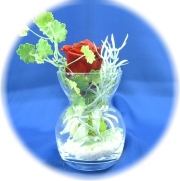 プリザーブドフラワー　クリスタルレッド1,200円　　　　　　-ネット特価！