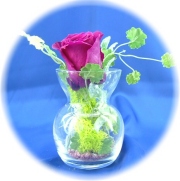 プリザーブドフラワー　クリスタルワインレッド1,200円　-ネット特価！