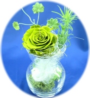 プリザーブドフラワー　クリスタルティーグリーン1,200円-ネット特価！