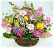 ピュアカラフルランド5,000円-【フラワーアレンジ】ネット特価！