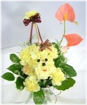 おしゃれプードル4,000円-【フラワーアレンジ】ネット特価！