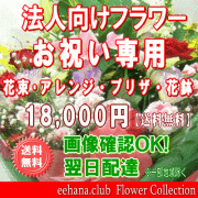 法人向けフラワー★お祝い花専用フラワー18,000円【送料無料】【画像閲覧OK！】【カード付】【アレンジ・花束・プリザ・はちもの】