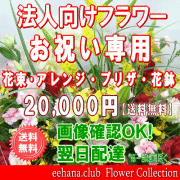 法人向けフラワー★お祝い花専用フラワー20,000円【送料無料】【画像閲覧OK！】【カード付】【アレンジ・花束・プリザ・はちもの】