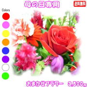 母の日に贈る花★デザイナーにおまかせ3,500円【送料無料】ネット特価！！