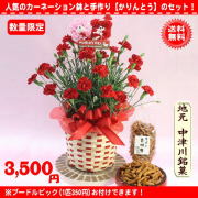数量限定！オススメ！2020母の日★地元名物お菓子と赤カーネーション花鉢5号セット3,500円【送料無料】ネット特価！