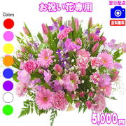 お祝い花専用フラワー5,000円【送料無料】【画像閲覧OK！】【カード付】開店・退職・結婚祝い・新築・出産 フラワー即日発送