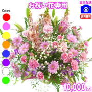お祝い花専用フラワー10,000円【送料無料】【画像閲覧OK！】【カード付】開店・退職・結婚祝い・新築・出産 フラワー即日発送