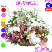 お祝い花専用フラワー20,000円【送料無料】【画像閲覧OK！】【カード付】開店・退職・結婚祝い・新築・出産 フラワー即日発送