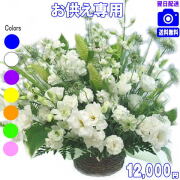 お供え・お悔やみに贈る花★デザイナーにおまかせ12,000円【送料無料】【法事 お供え お盆 お彼岸 アレンジ 花束】
