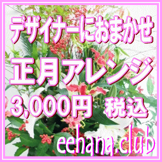 正月・迎春アレンジ★とってもお得★デザイナーにおまかせ♪3,000円-ネット特価！！