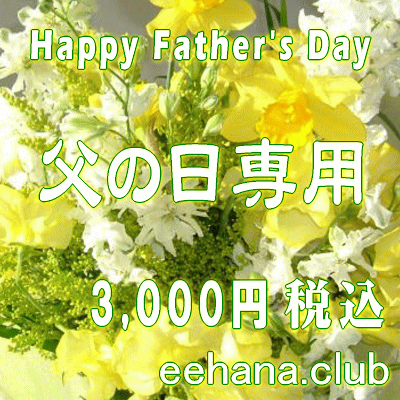父の日に贈る花♪デザイナーにおまかせ3,000円-【花束・アレンジ・鉢物・プリザーブドフラワー】ネット特価！！