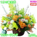 1月の誕生花★ファンシーアレンジ8,000円【送料無料】【写真付きメッセージ選択可】