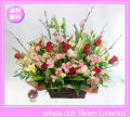 2月の誕生花★ナチュラルアレンジ花言葉付き【チューリップ】12,000円【送料無料】ネット特価！！