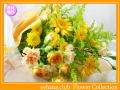 10月の誕生花★ビタミンオレンジ花束3,500円【送料無料】花言葉付き【ガーベラ】【写真付きメッセージ選択可】ネット特価！！