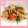 11月の誕生花★宝石箱アレンジ4,000円【送料無料】花言葉付き【ブバリア】【写真付きメッセージ選択可】