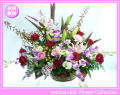 12月の誕生花★ファンシーアレンジ10,000円【送料無料】【デンファレ】【写真付きメッセージ選択可】ネット特価！